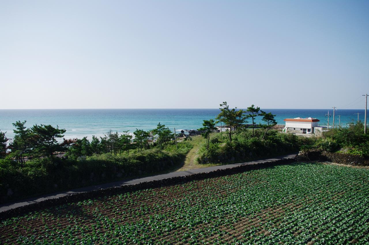 6Pm Pension Jeju Esterno foto